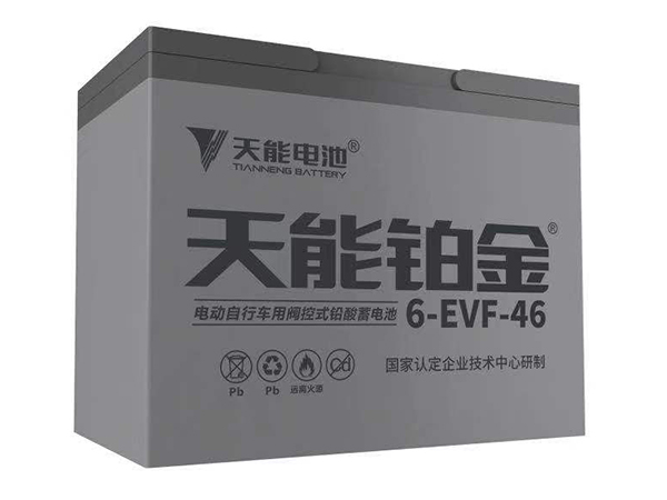 天能铂金电池6-EVF-46