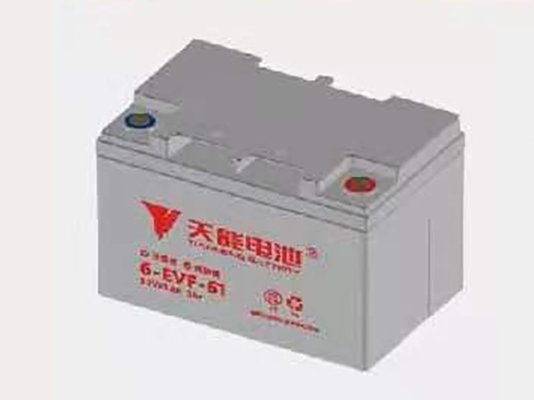天能蓄电池6-EVF-61