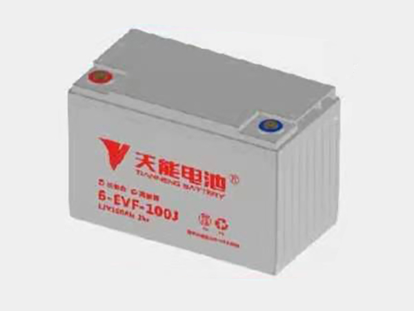 天能电池6-EVF-100J